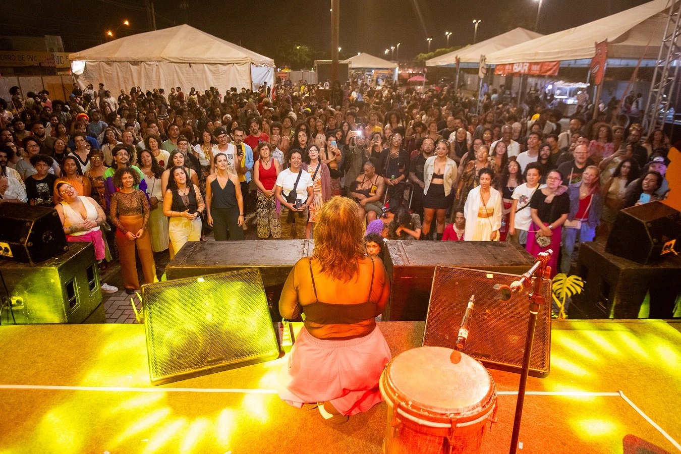 Público lotado assiste a apresentação vista do palco, à noite, em festival ao ar livre