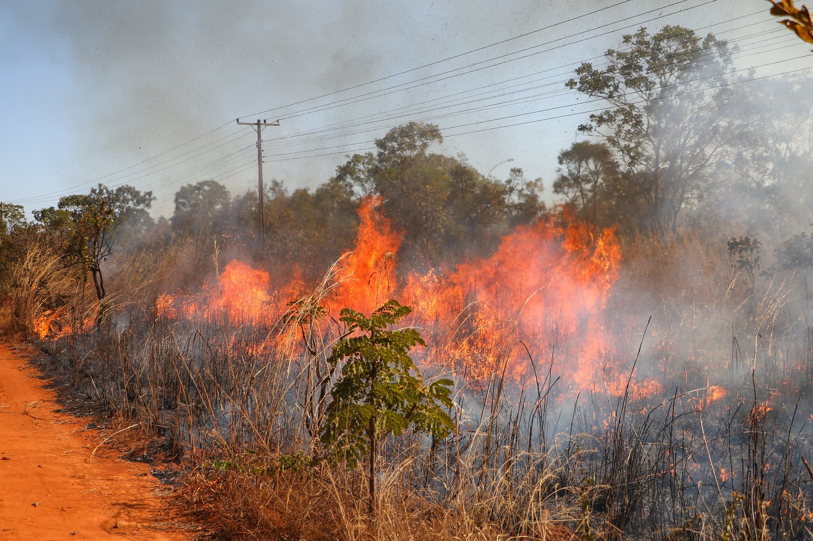 Chamas avançam sobre vegetação seca do Cerrado às margens de estrada de terra