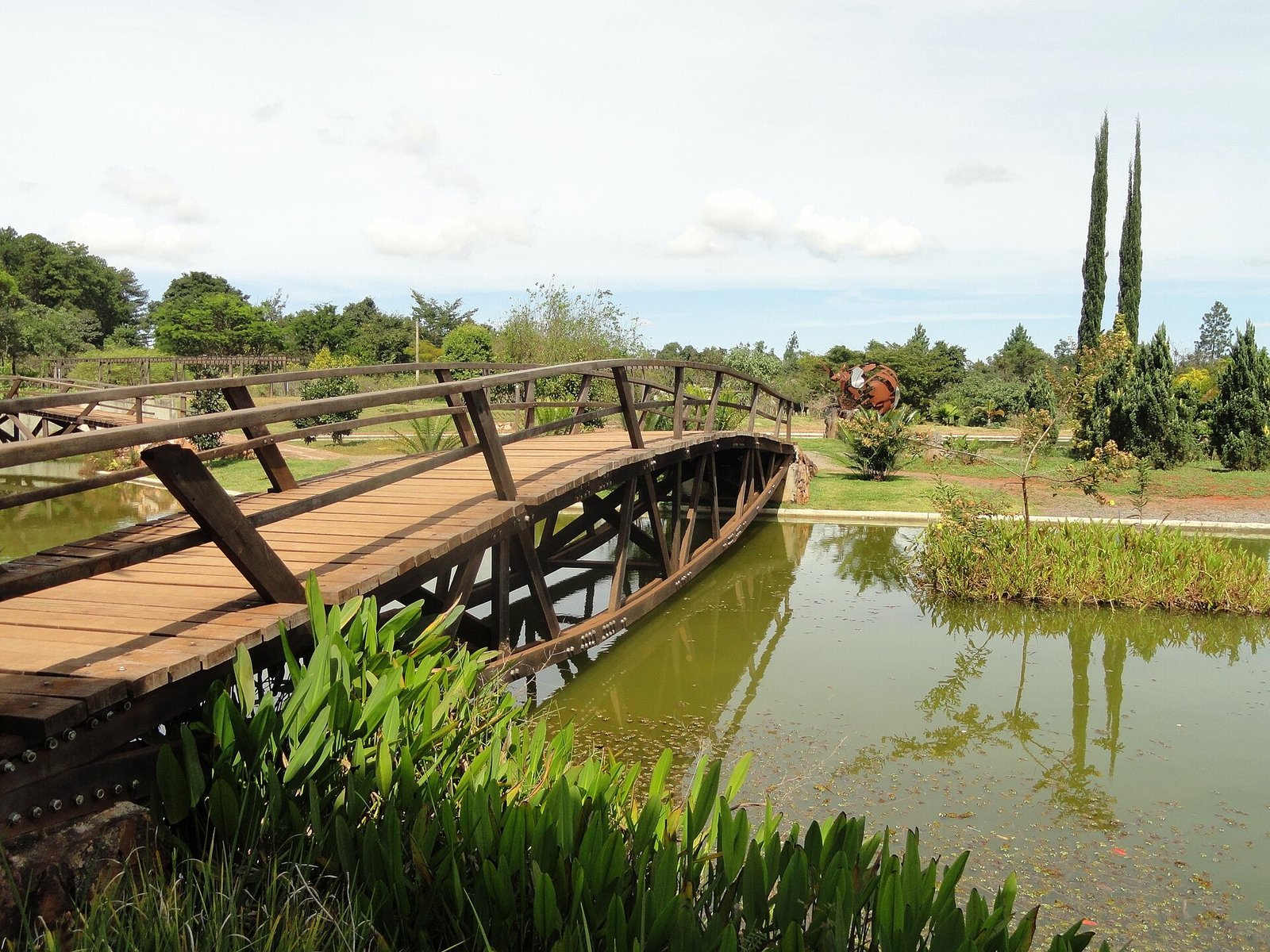 Ponte de madeira sobre lago com vegetação verde no Jardim Botânico de Brasília