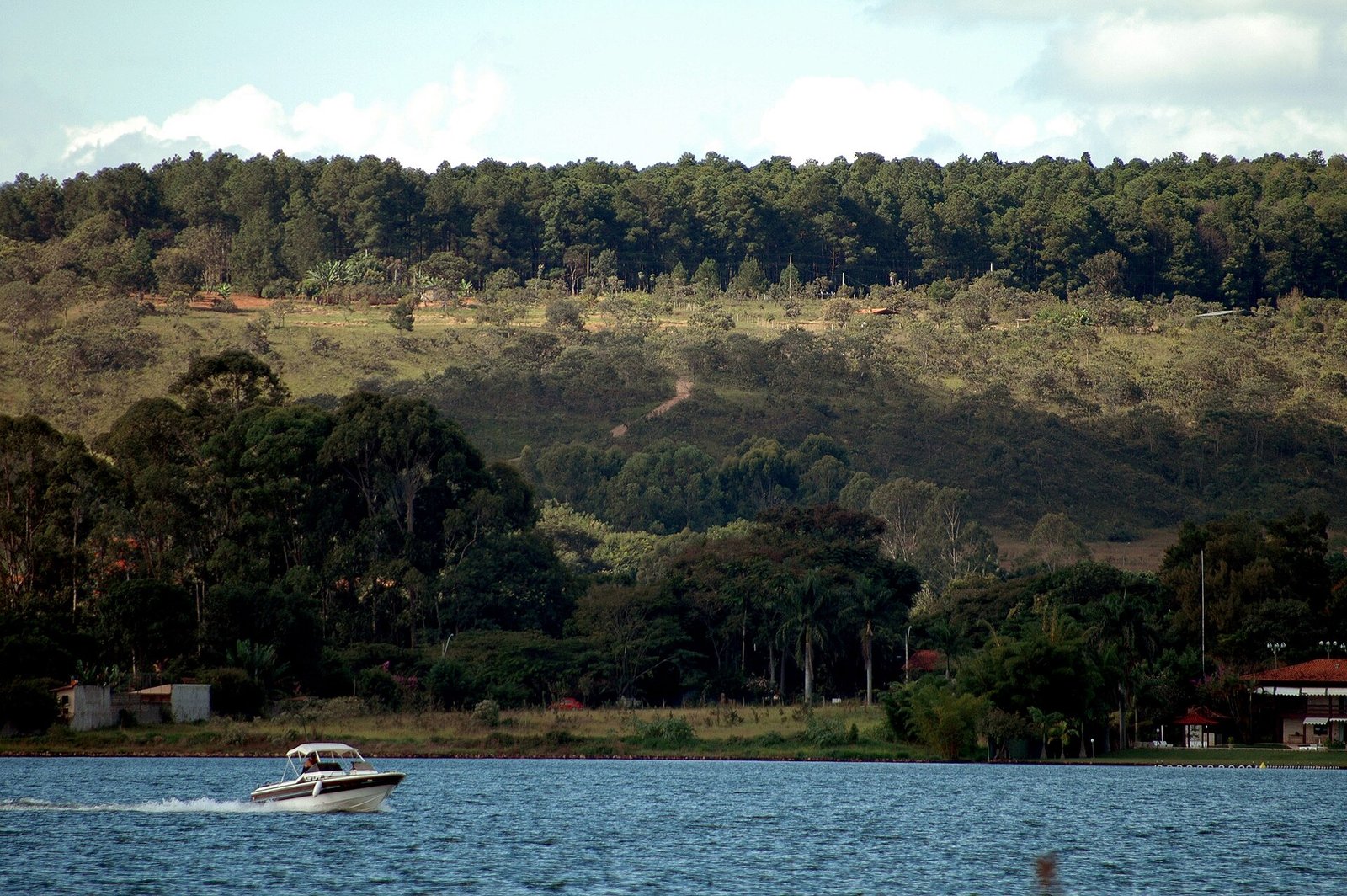 Lancha branca navegando no Lago Paranoá, em Brasília, com a orla arborizada ao fundo