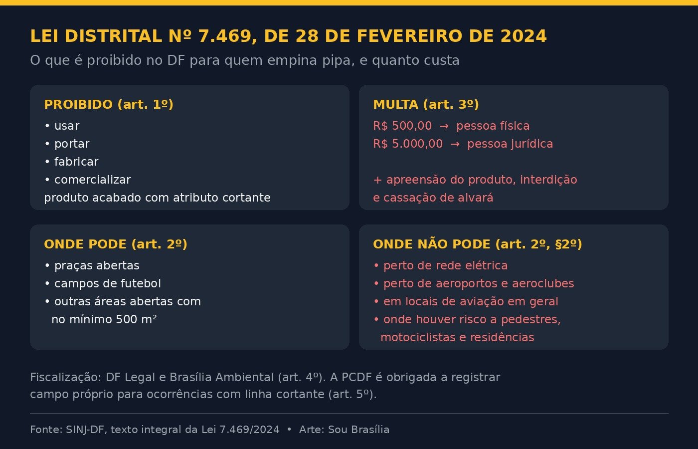 Infográfico com os artigos da Lei distrital 7.469/2024: o que é proibido, valores de multa, onde é permitido empinar pipa e onde não é