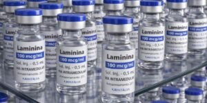 Frascos de laminina para uso intramedular enfileirados em prateleira de vidro