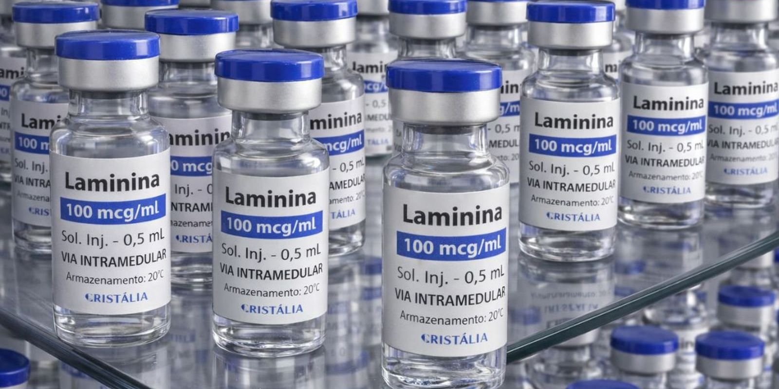Frascos de laminina para uso intramedular enfileirados em prateleira de vidro