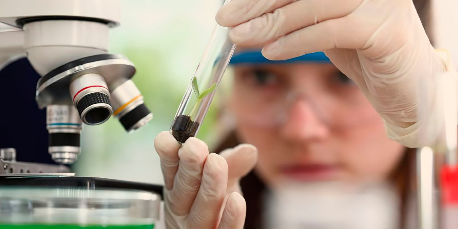 Pesquisadora de luvas observa tubo de ensaio ao lado de microscópio em laboratório