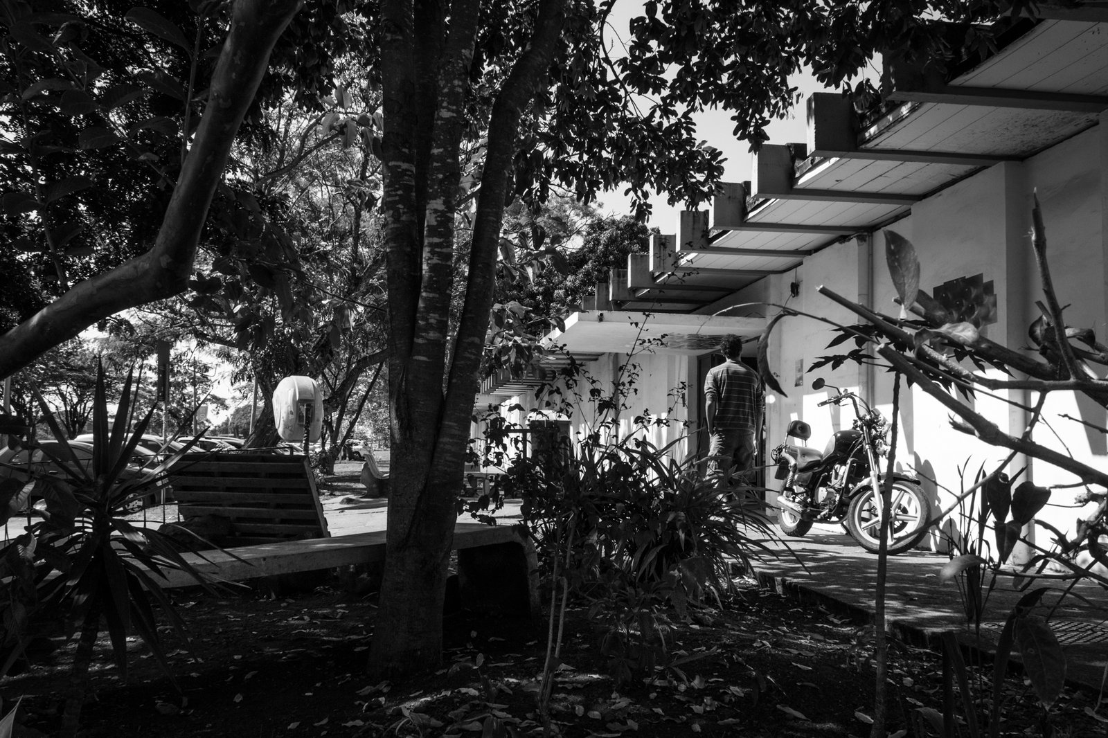 Prédio SG que abriga o Instituto de Artes da UnB, no campus Darcy Ribeiro, visto entre árvores