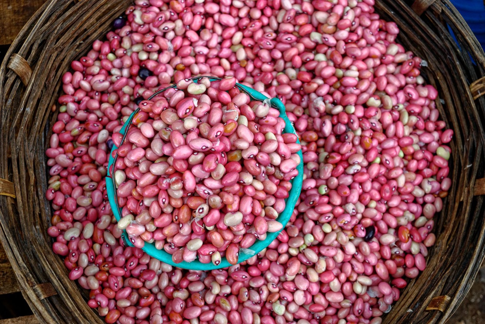 Cesto de vime com feijão rosa visto de cima, foto ilustrativa de alimento básico