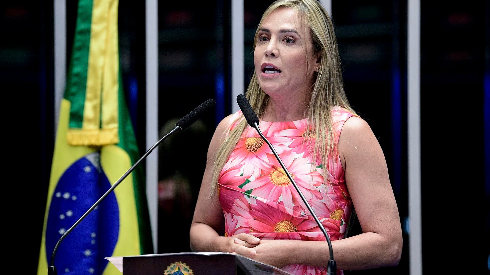 Celina Leão discursa na tribuna do Senado