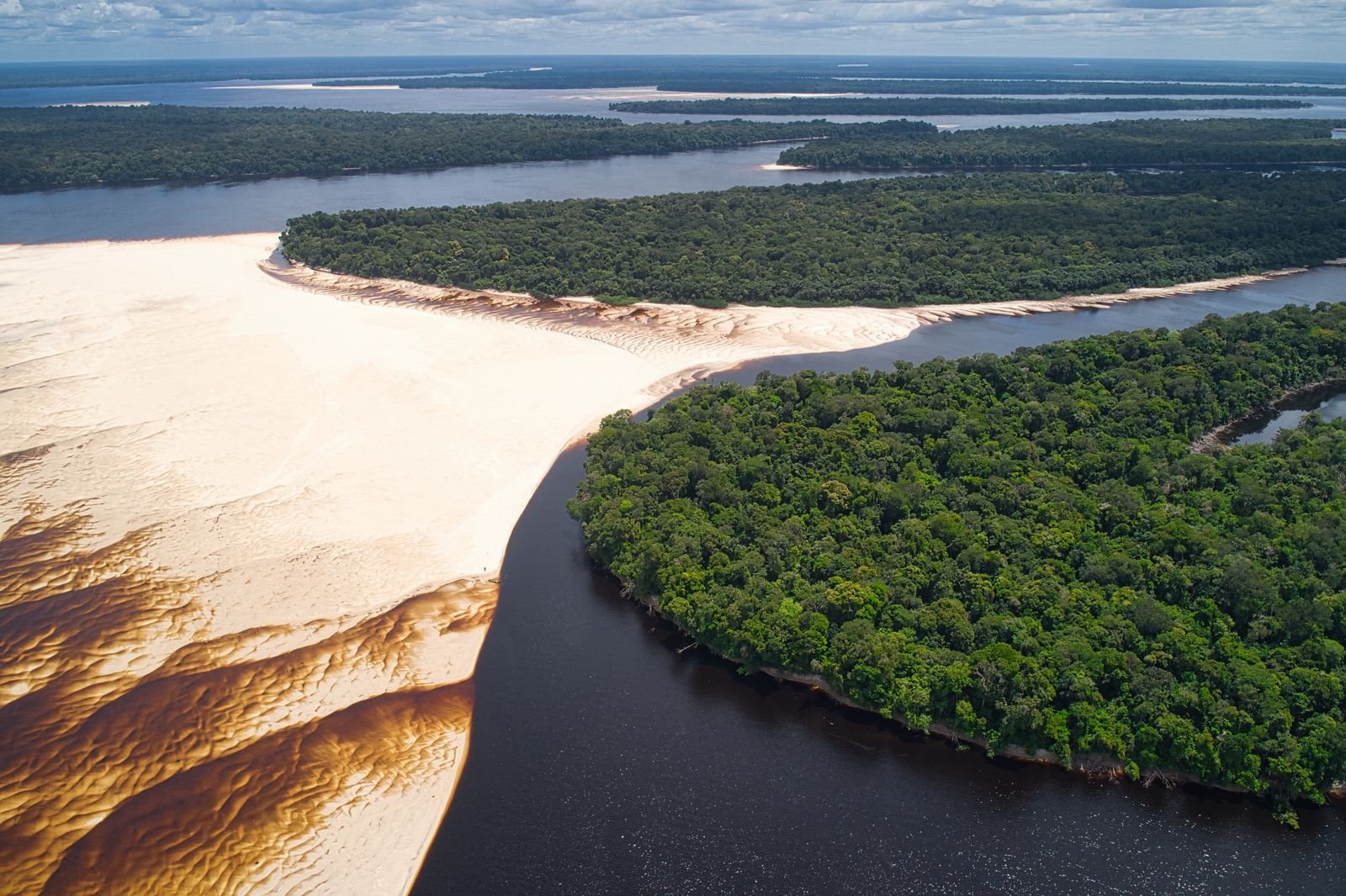 Vista aérea de floresta amazônica, bancos de areia e rios em Barcelos, no Amazonas