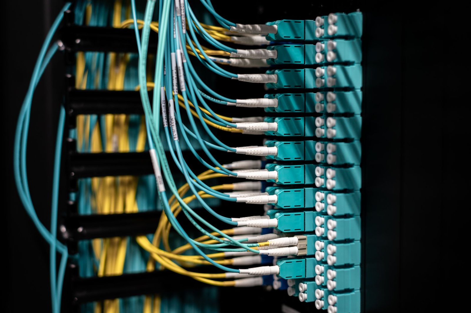 Cabos de fibra óptica azuis e amarelos conectados a um painel de rede em sala de servidores, imagem ilustrativa