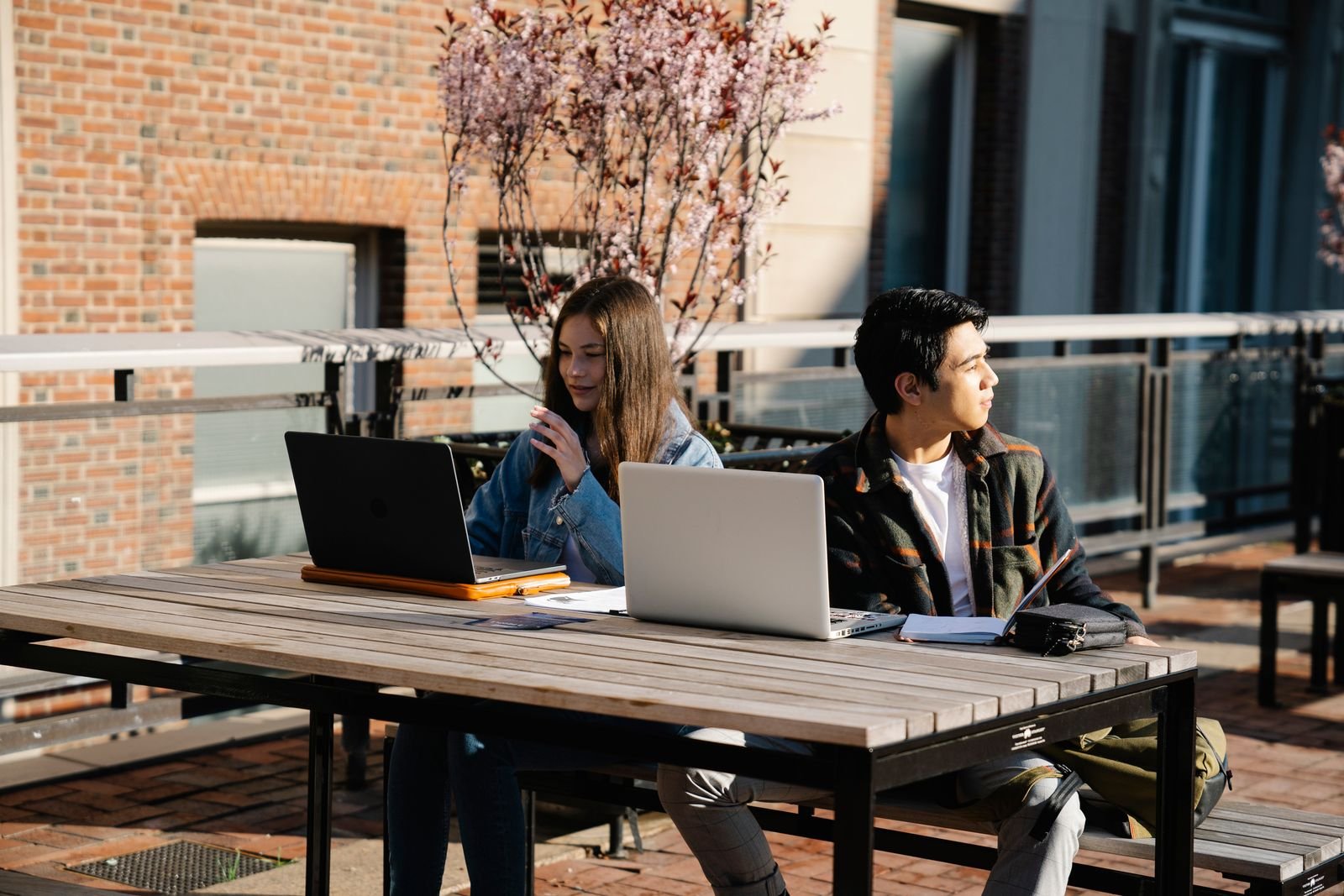 Dois estudantes universitários com notebooks em uma mesa ao ar livre (foto ilustrativa)