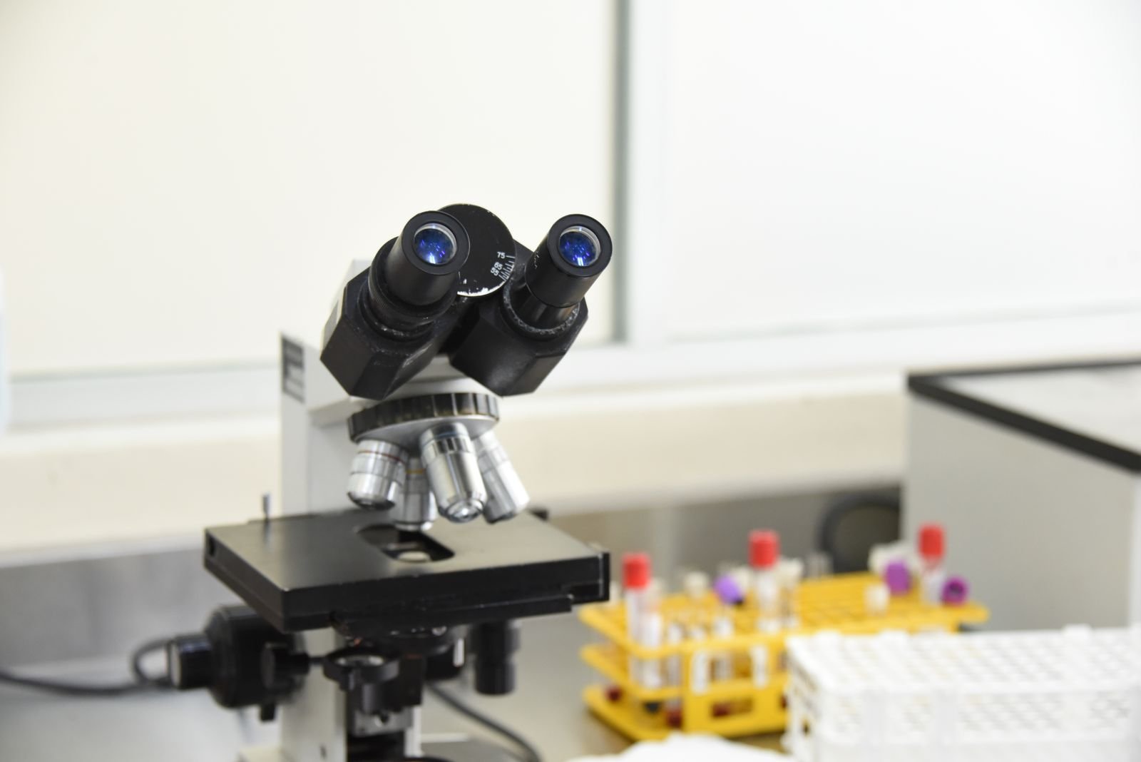 Microscópio binocular sobre bancada de laboratório, com tubos de ensaio ao fundo