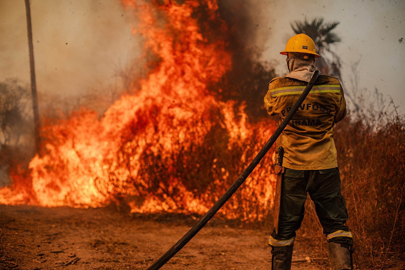 Brigadista de uniforme amarelo, de costas, combate com mangueira um fogo em capim seco; foto de arquivo do Ibama, não é do DF