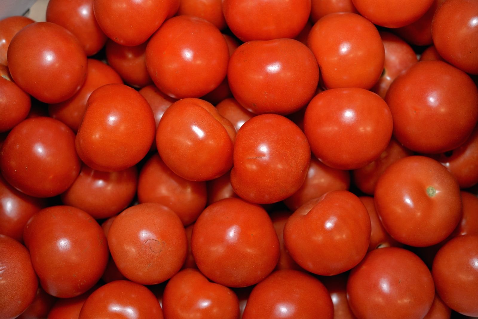 Pilha de tomates vermelhos maduros vistos de cima
