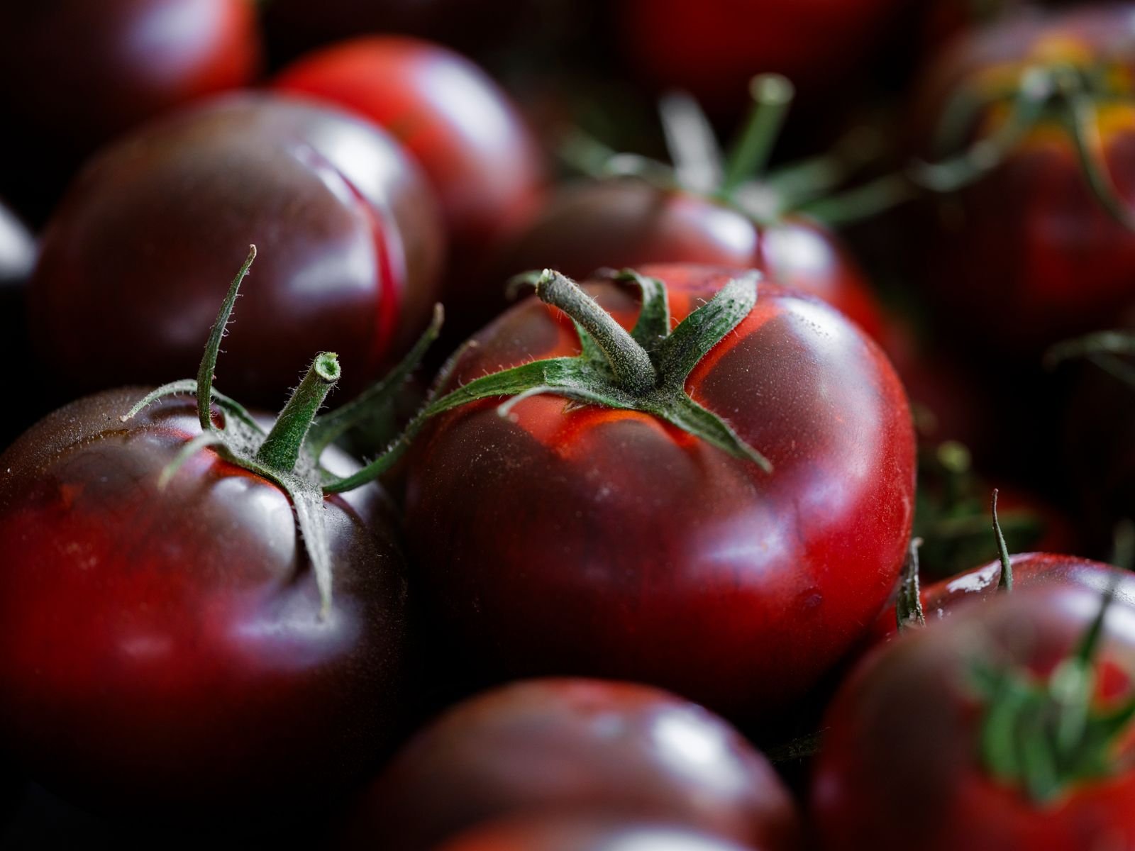Tomates vermelhos em close, em foto ilustrativa sobre a alta do tomate no IPCA-15 de outubro