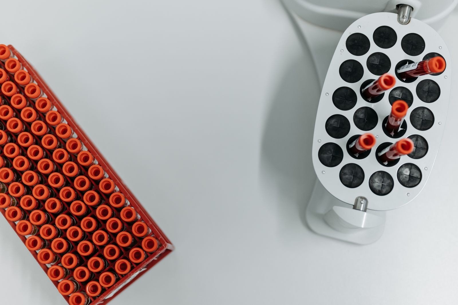 Visão de cima de tubos de coleta de sangue em suporte vermelho e em uma centrífuga de laboratório