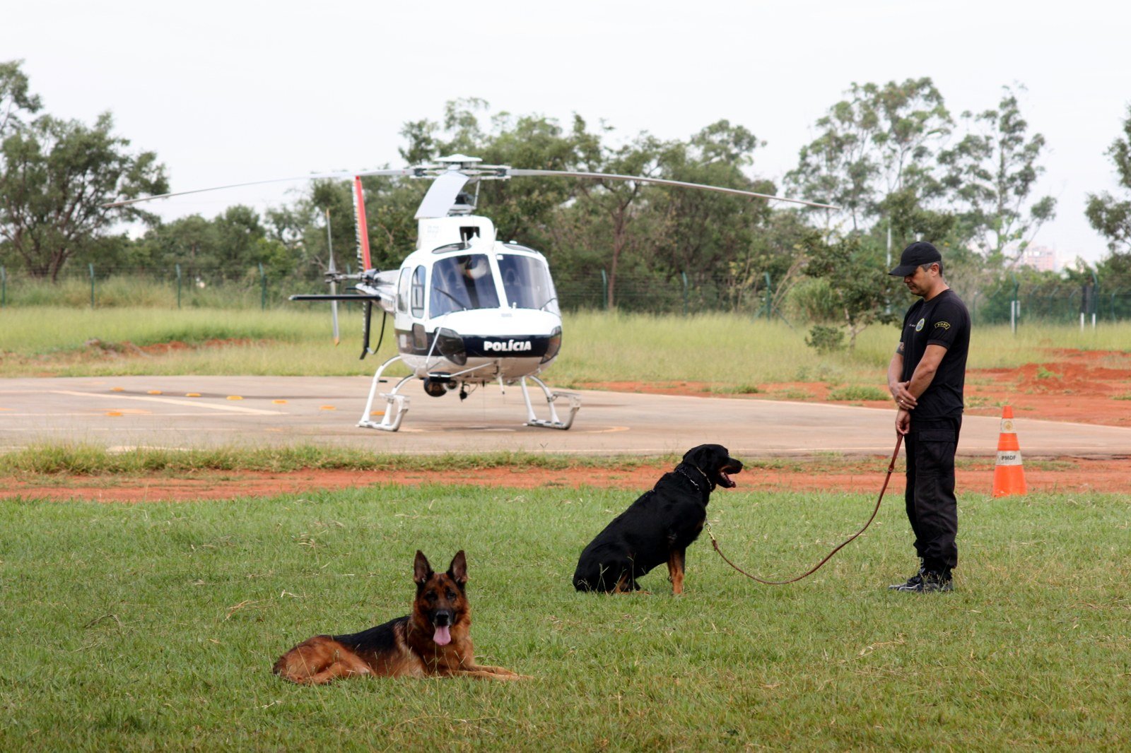 Policial militar com dois cães de guarda diante de um helicóptero da PMDF, em foto de arquivo