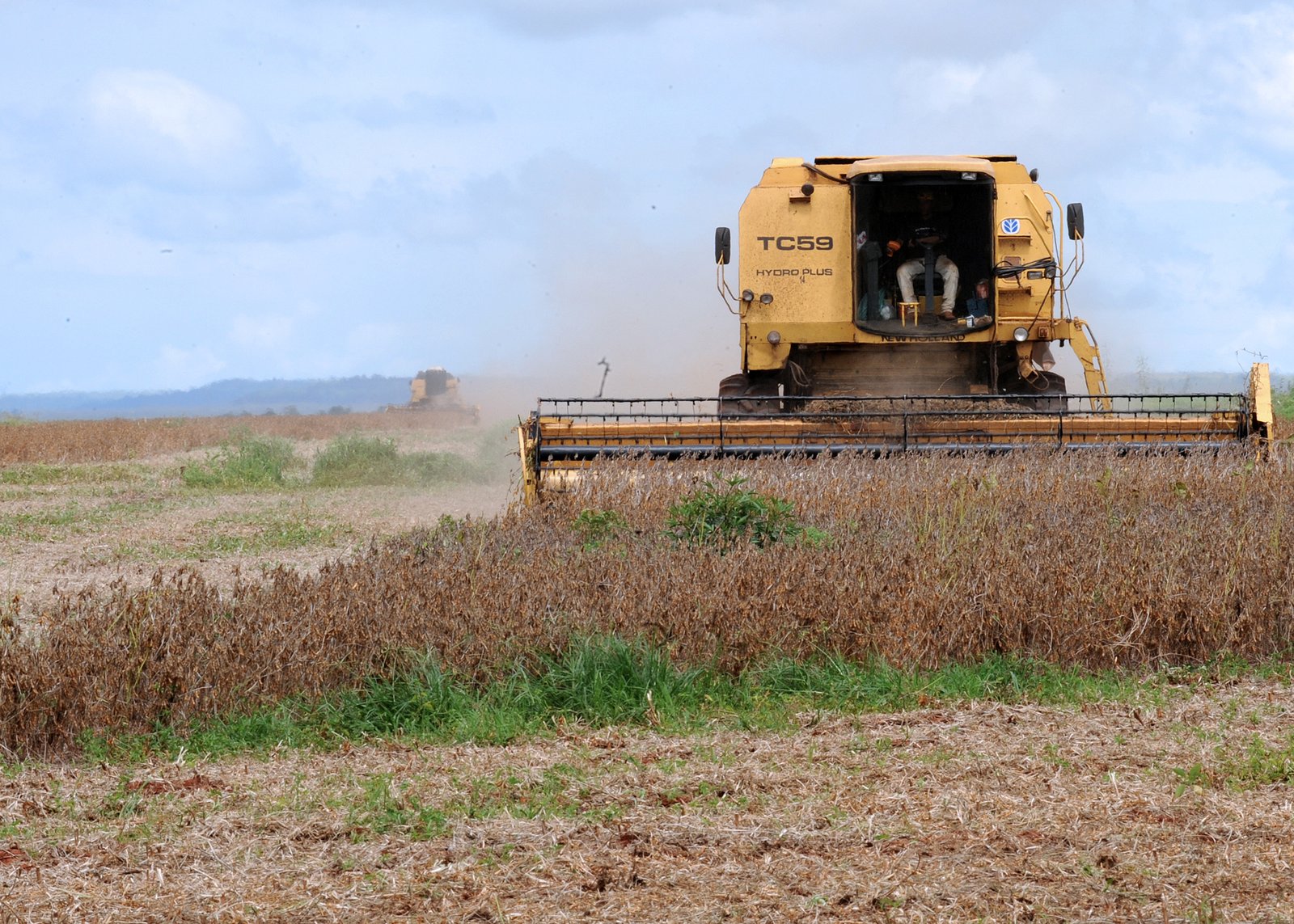 Colheitadeira amarela cortando lavoura de soja madura em Rondonópolis, em Mato Grosso