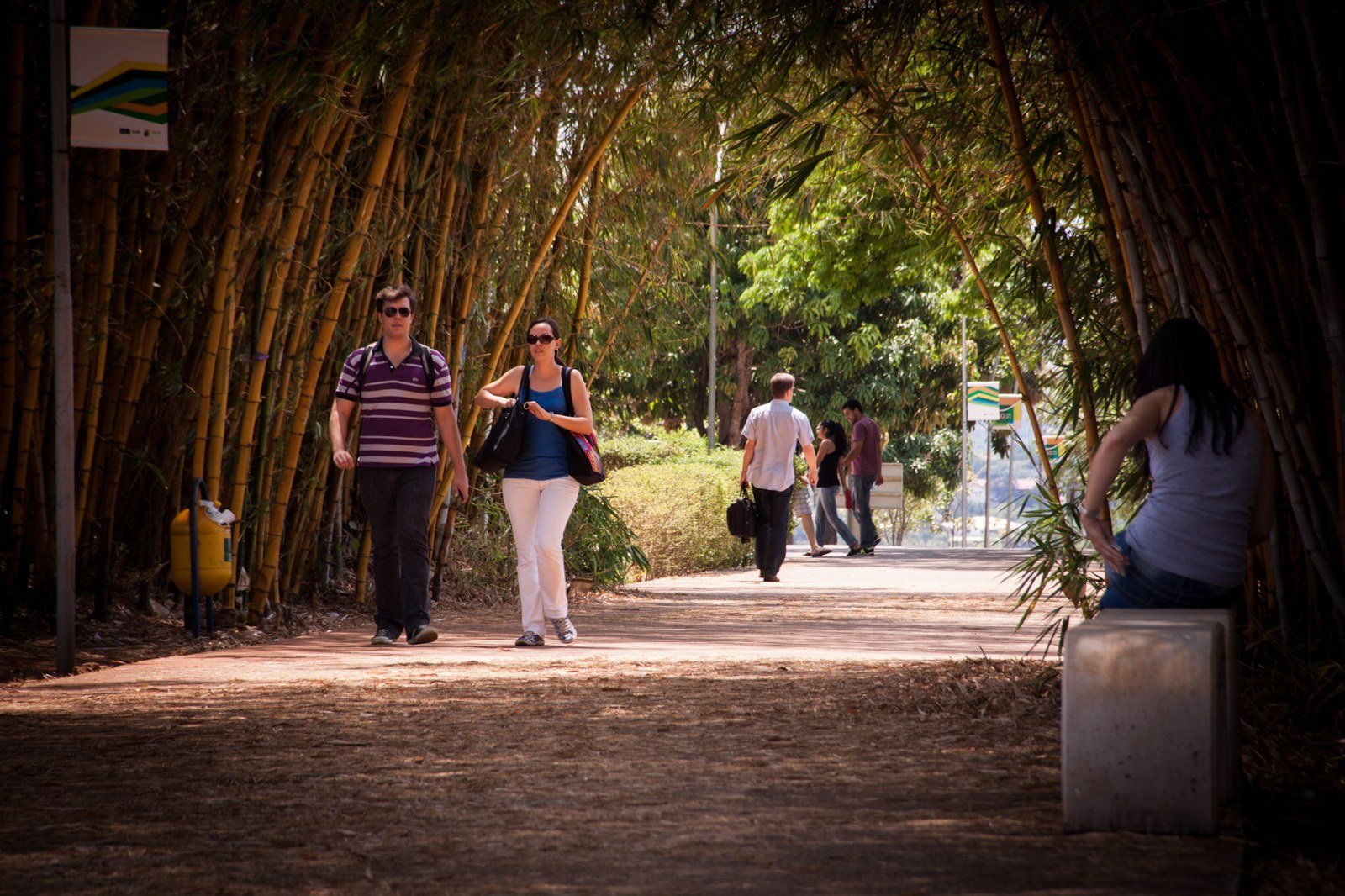 Estudantes caminham por trilha cercada de bambus no Campus Darcy Ribeiro, da UnB, em Brasília (foto de arquivo)
