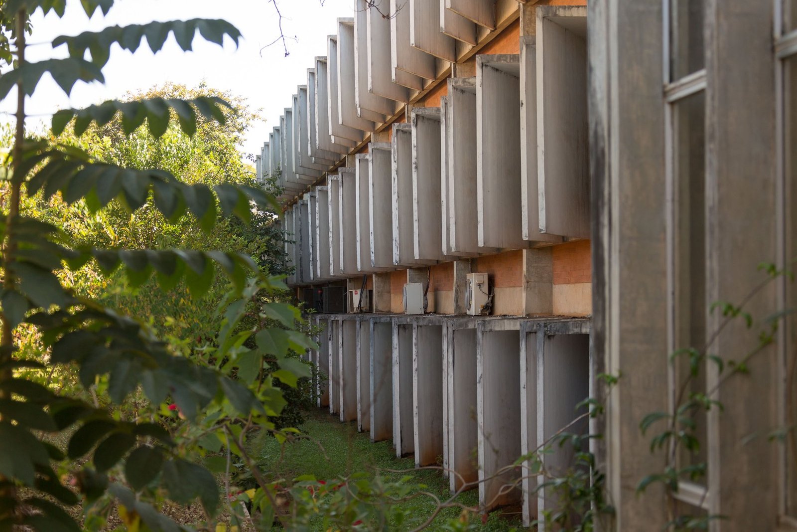 Fachada de concreto com brises da Faculdade de Medicina da UnB, cercada por árvores, em Brasília