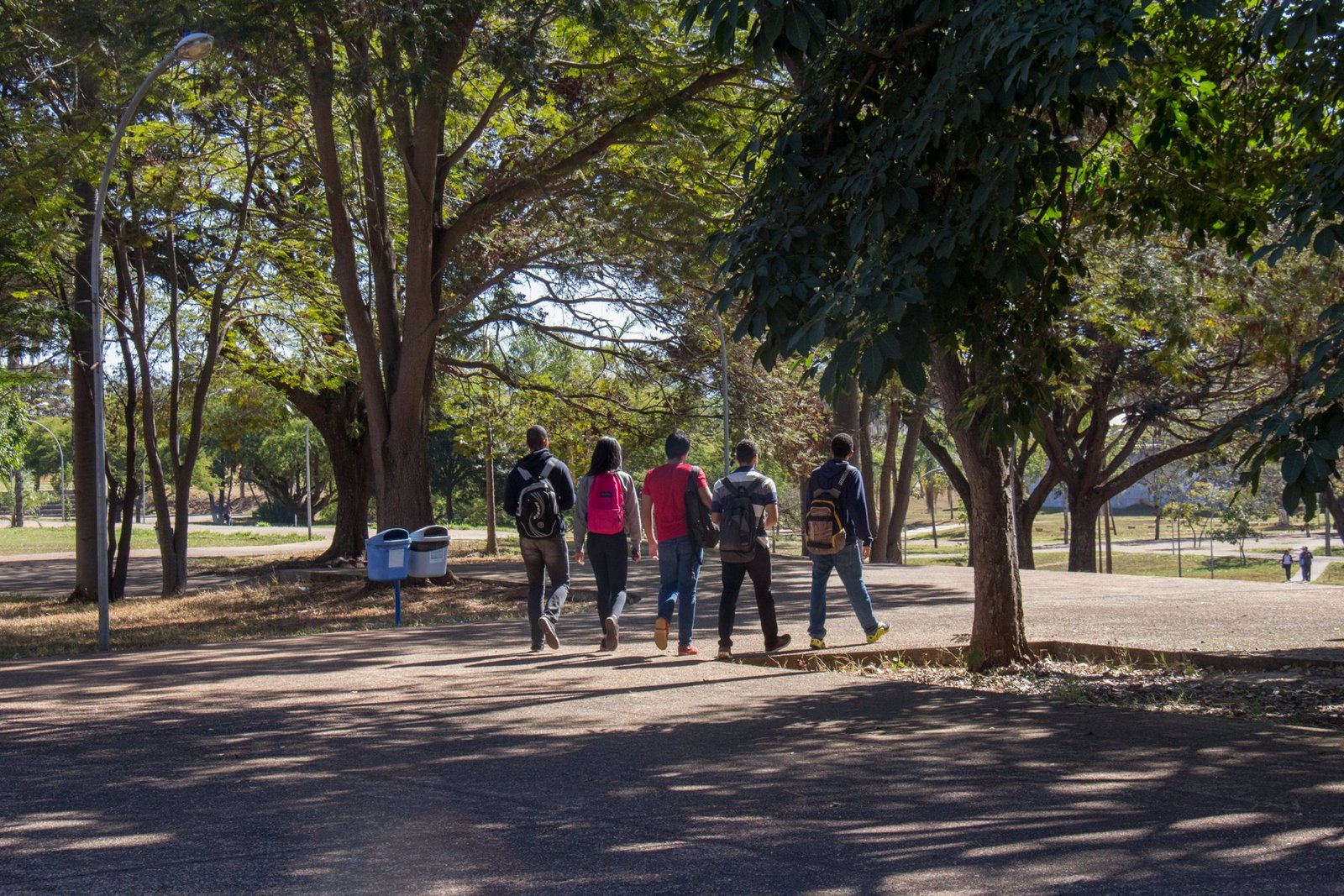 Estudantes de mochila caminham entre árvores no campus Darcy Ribeiro da Universidade de Brasília, em foto de arquivo